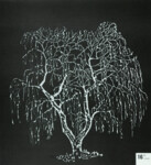 1984 Architektur + Natur