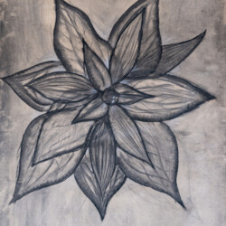 Kunstformen der Natur