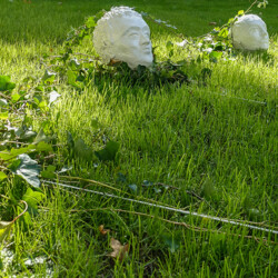 Sonnenuhr - Im Laufe der Zeit