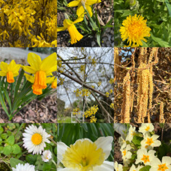 Farben in der Natur zu Frühlingsbeginn