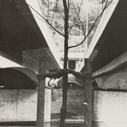 1984 Architektur + Natur