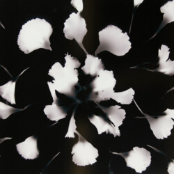 Bedeutung der Bedeutungslosigkeit