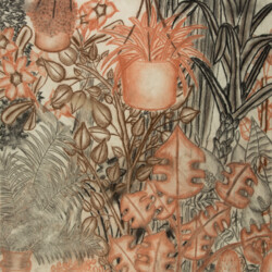 Pflanzen: Im Gewächshaus