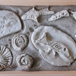 fake fossils