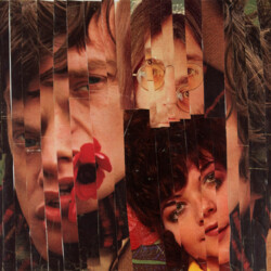 Spaltschnitt: Gesichter