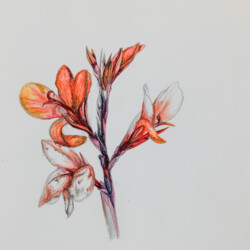 2022 Schwäbisch Hall