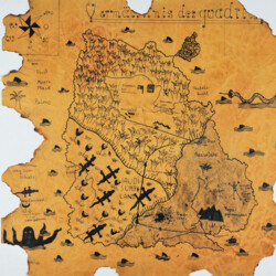 Landschaft und Pflanzen