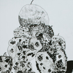 2015 Albstadt-Sigmaringen