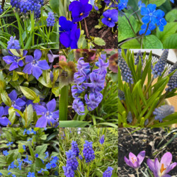 Farben in der Natur zu Frühlingsbeginn