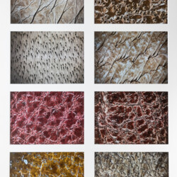 Fotoserie "Geheimnisvolle Spuren"