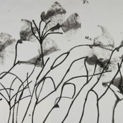 Kartonkantendruck: Gräser