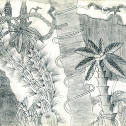 1954/55 E. Trützler