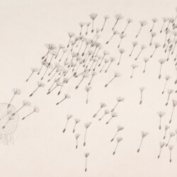 Pflanzliches: Löwenzahn