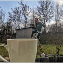 Alles eine Frage der Perspektive