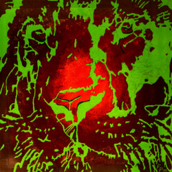 Erwecke den Tiger in dir