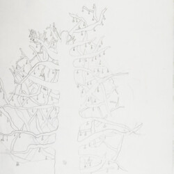 Pflanzliches: Baumtest nach Koch