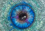 Reptilienaugen