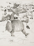 Dürer: Rhinozeros