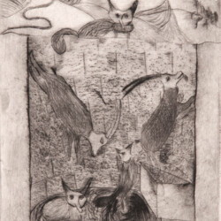 Textillustration - Äsop