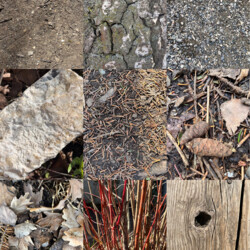 Farben in der Natur zu Frühlingsbeginn