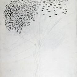 Pflanzliches: Baumtest nach Koch