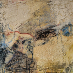 Spuren - Formsuche der Natur