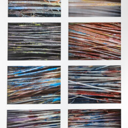 Fotoserie "Haarige Angelegenheit"