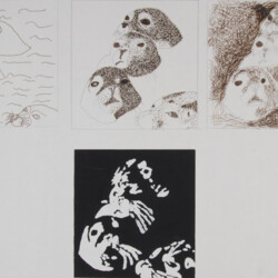 Umwandeln einer Bildvorlage: Robben