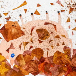 Schweinchen im Matsch