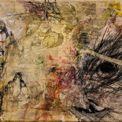 Spuren - Formsuche der Natur