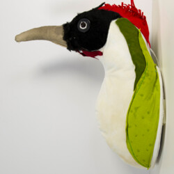 Tock, tock, tock   -   Vogelköpfe als Wandtrophäen