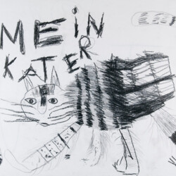 Tier: Meine Katze