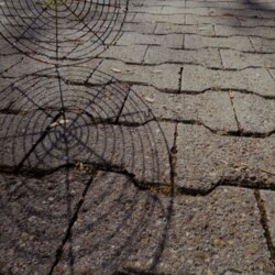 Ungewohnte Perspektiven