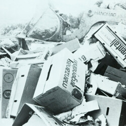 1984 Architektur + Natur