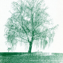 Tübinger Stadtfriedhof