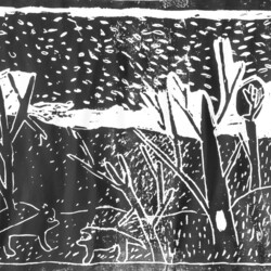 Alte und neue Märchen aus dem Wald