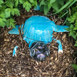 Neues krabbelt aus der Erde