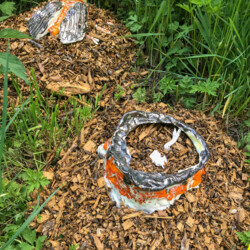 Neues krabbelt aus der Erde