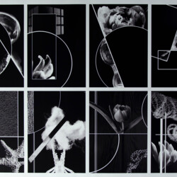 Geometrie und Florales