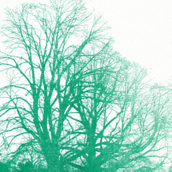 Tübinger Stadtfriedhof