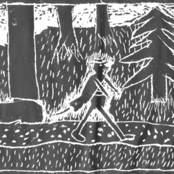 Alte und neue Märchen aus dem Wald