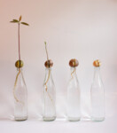 Fotografie "Kernspaltung"