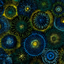 Wachskreide-Auskratztechnik: Rosetten