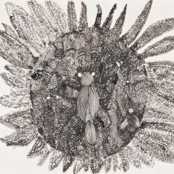 Insekten auf einer Blüte