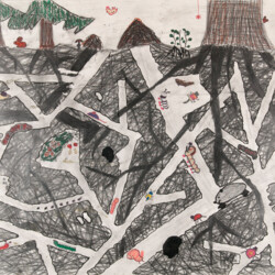 Querschnitt durch einen Waldboden