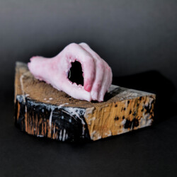 manu et pede - mit Hand und Fuß