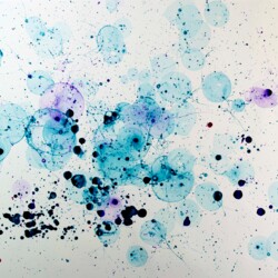 Seifenblasen türkis