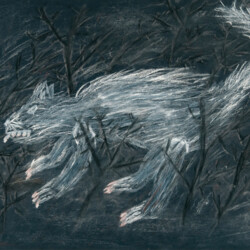 Tier: Katze auf der Pirsch