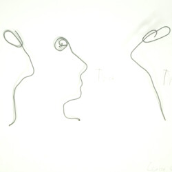 Porträt: Drahtzeichnung