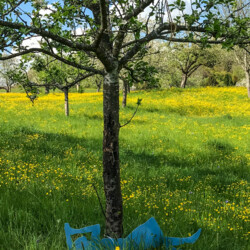 Zeit in der Natur verbringen